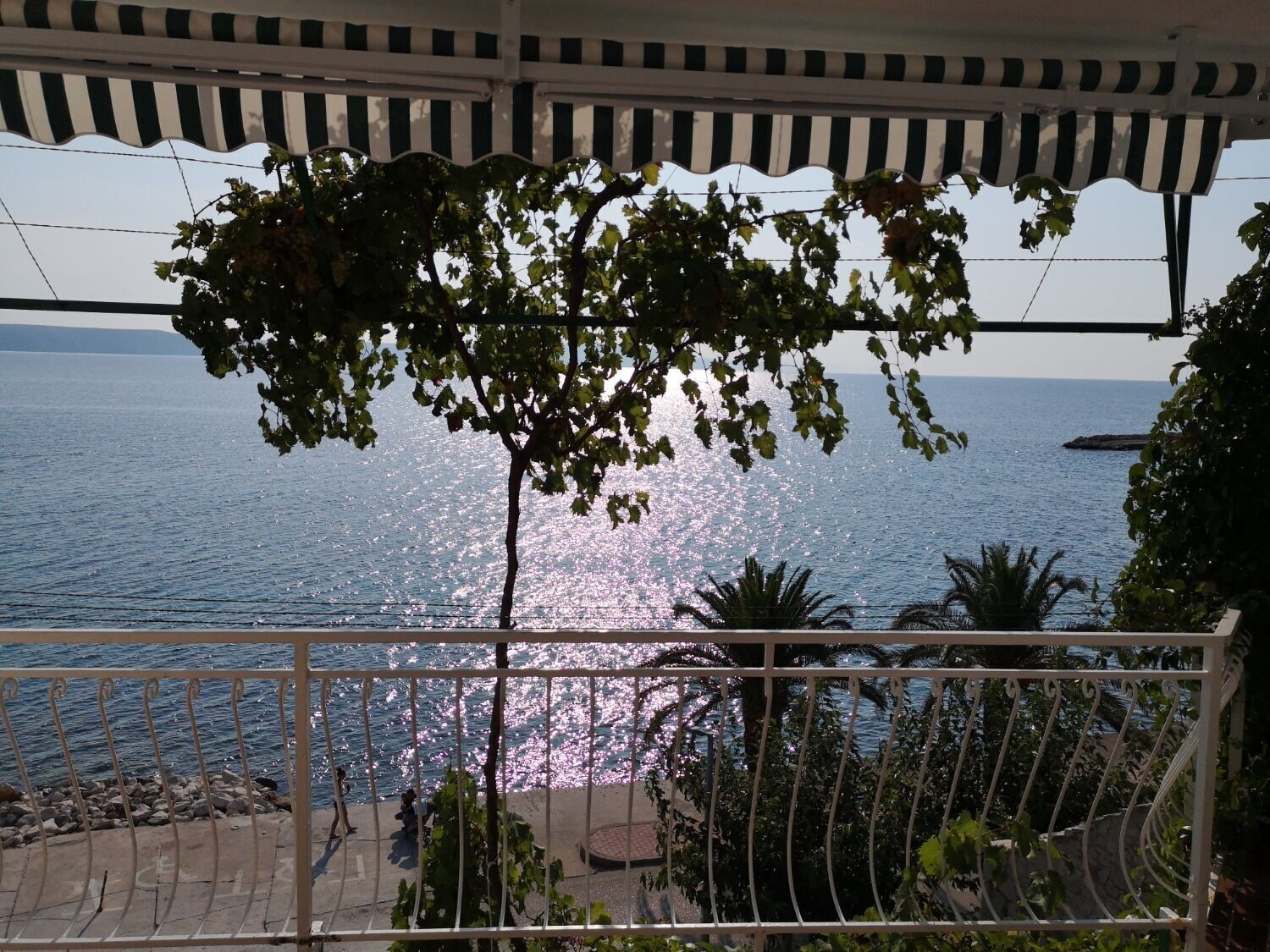 Appartement (A1) | Terrasse/Patio