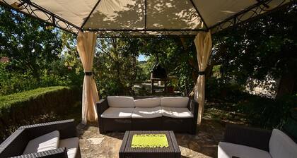 Apartments and Rooms Frane