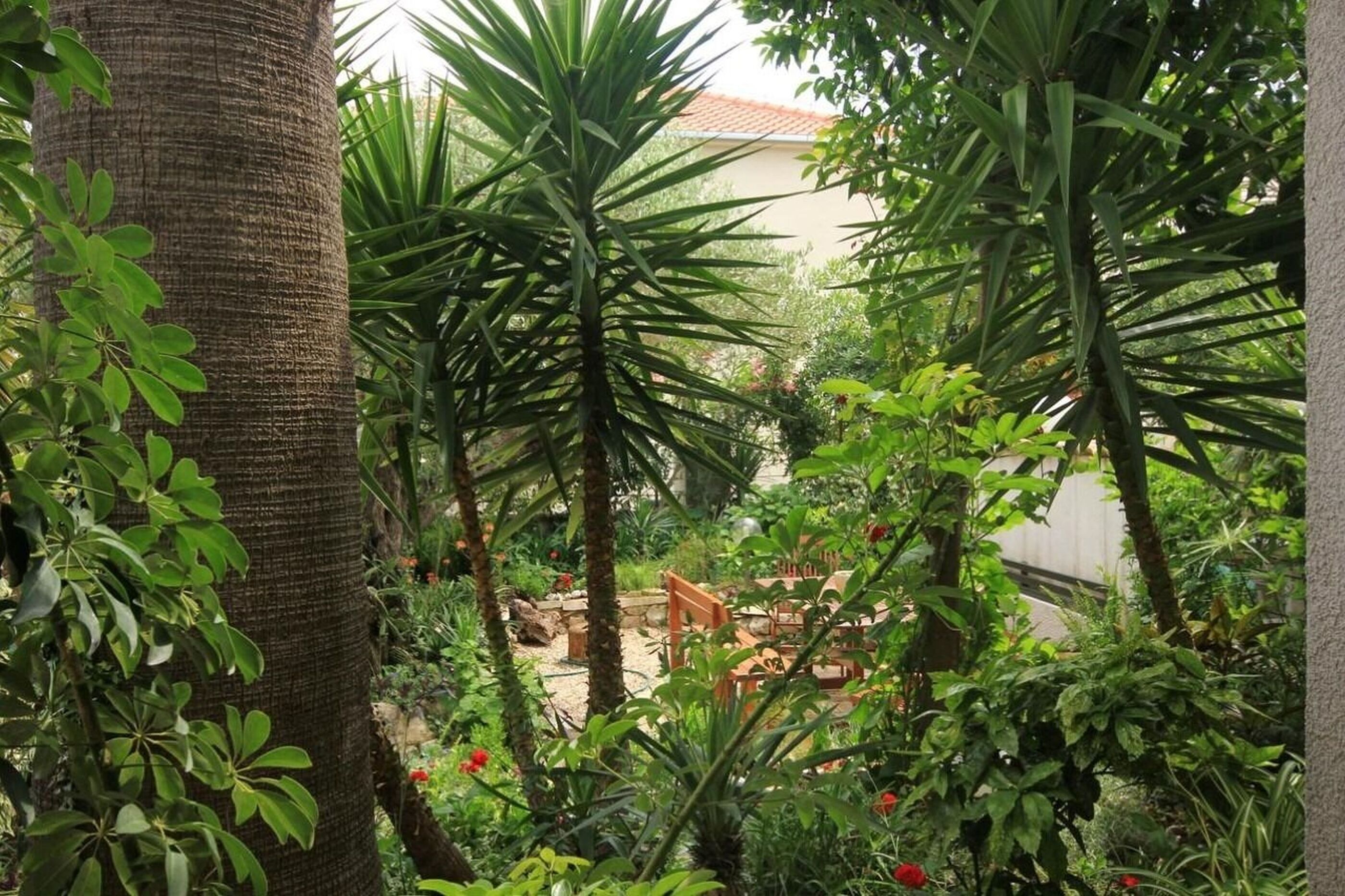 Departamento (A1) | Vista al jardín