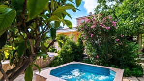 A rectangular hot tub surrounded by stone tiles, with a stone wall and lush greenery in the background. - House Mare (Kastela)