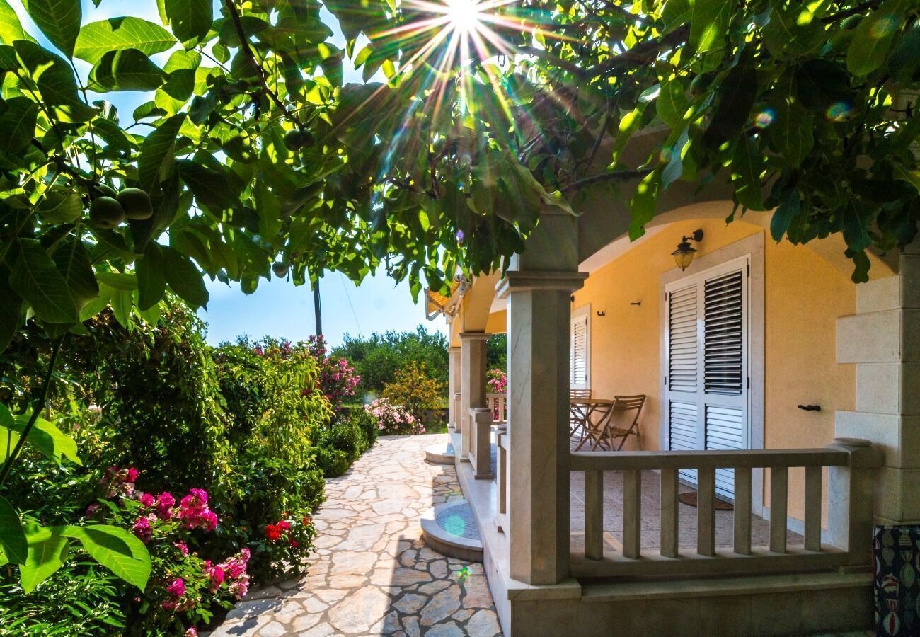 House | Terrace/patio