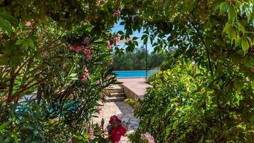 المنطقة المحيطة بالمنشأة