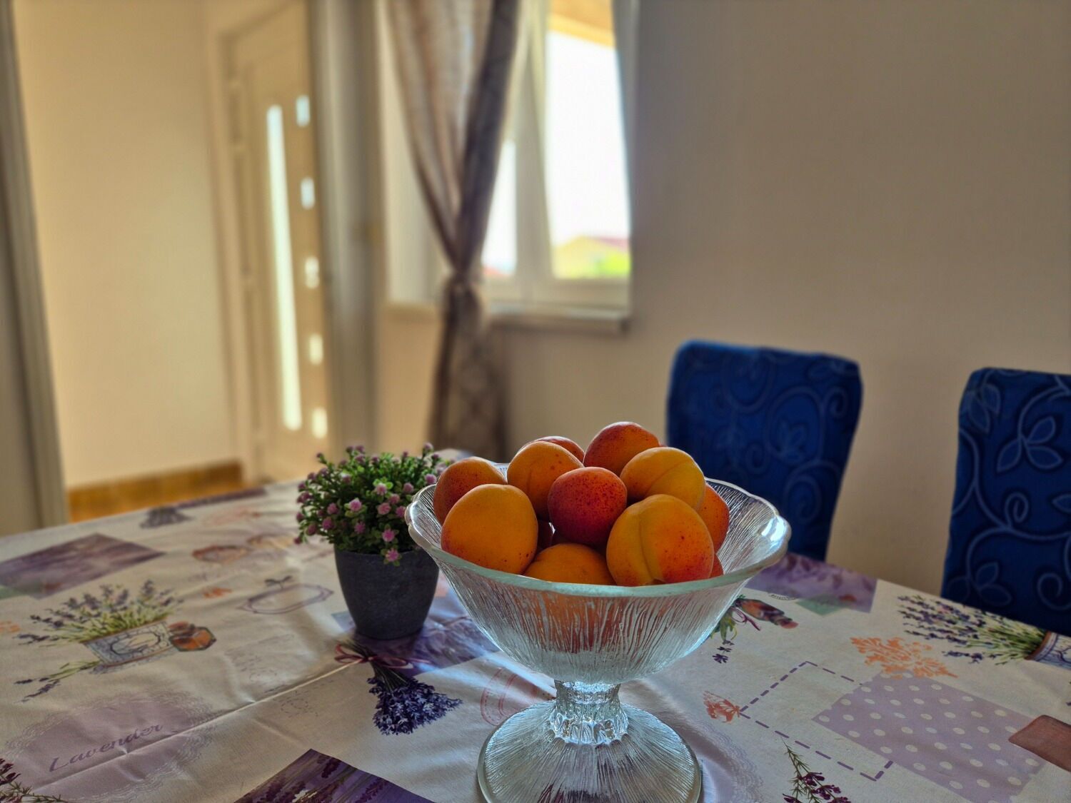 Apartment (A2) | Private kitchen | Fridge, microwave, stovetop, espresso maker