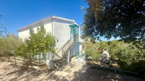 Ein Gebäude mit einer Treppe, die zu einer grünen Tür führt, umgeben von Bäumen und einem Grill.