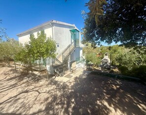 Ein Gebäude mit einer Treppe, die zu einer grünen Tür führt, umgeben von Bäumen und einem Grill.
