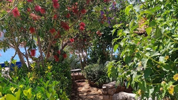 Un vialetto in pietra costeggiato da rigogliosa vegetazione e fiori, che conduce verso una distesa d'acqua.