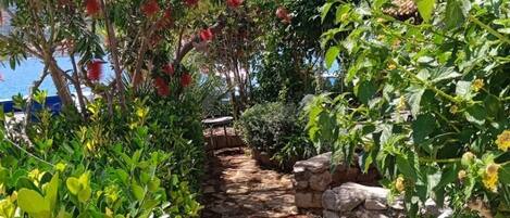 สนามรอบบริเวณ