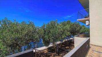 Vista al agua
