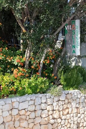 Garden - Apartment Blue (Podgora)