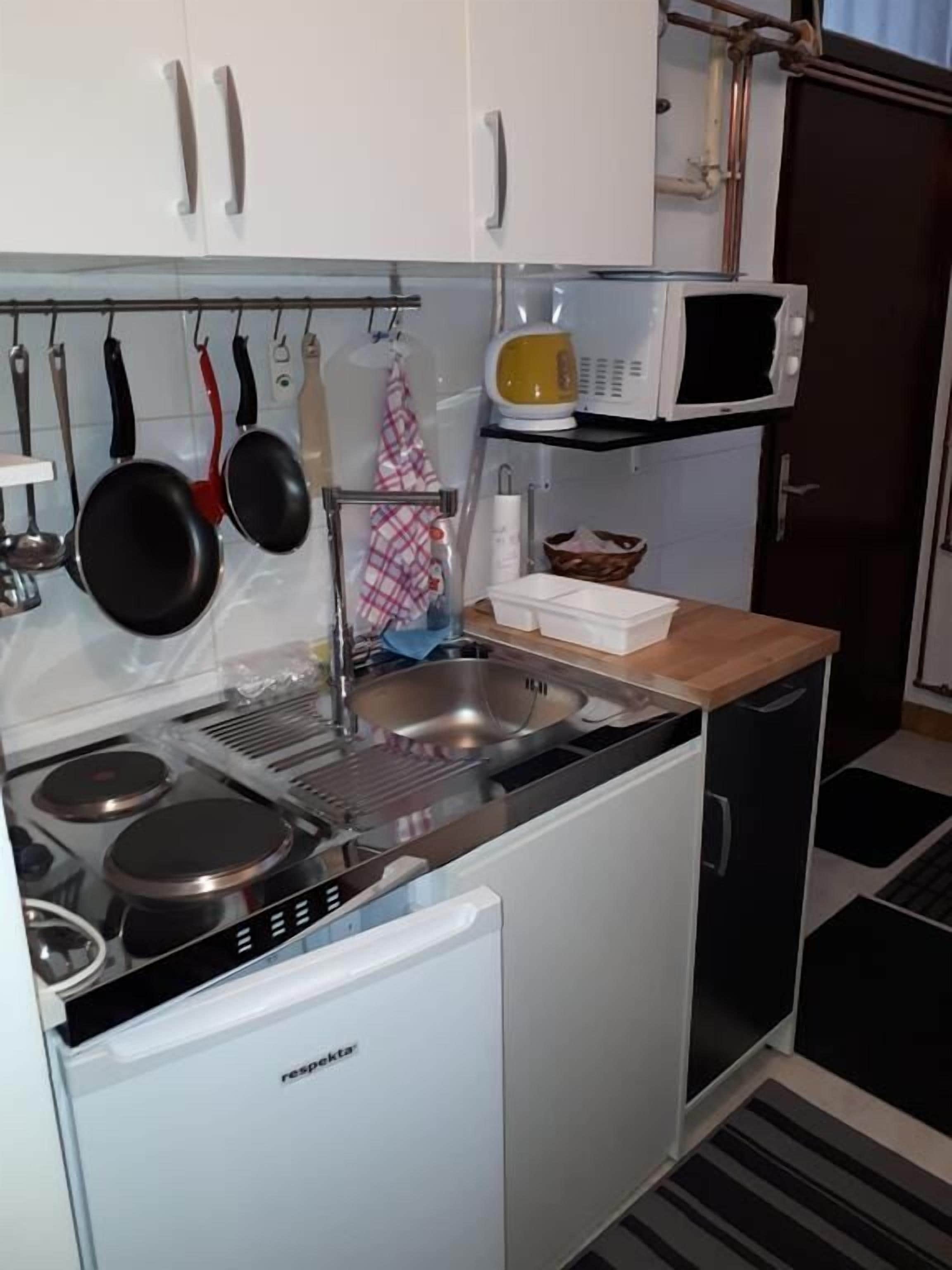 Apartment (A1) | Private kitchen | Fridge, microwave, stovetop, electric kettle