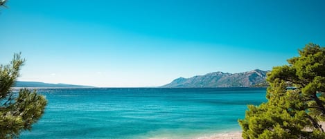 海灘