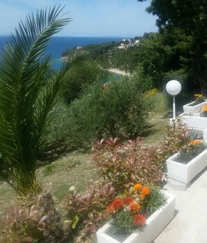 Aerial view - Apartments Duro (Omis)