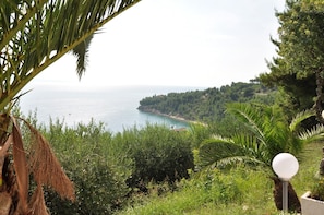 Vista aérea