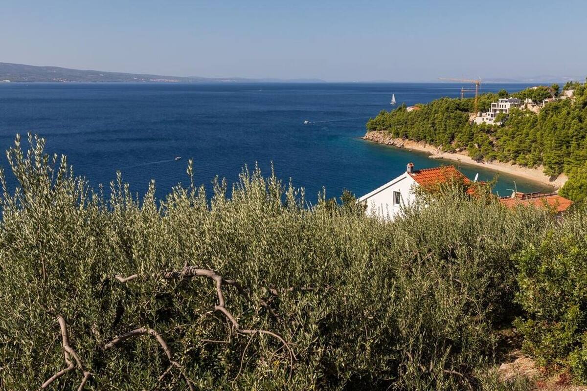 Vista costera con un edificio blanco, una playa arenosa y un mar azul cristalino.