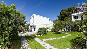 A modern white building with a well-maintained garden, a stone pathway, and a clear blue sky. - House Nika (Punat)