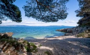 Beach - Apartment Jenny (Rasa)