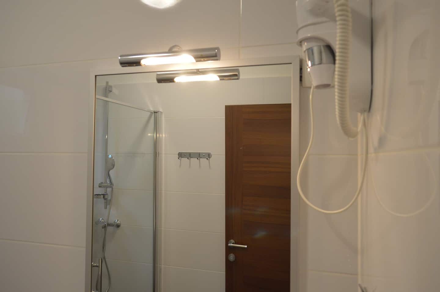 A bathroom with a glass shower enclosure, a wooden door, and a white telephone.