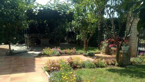 Um caminho no jardim com diversas plantas floridas e árvores.