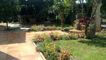 Jardim