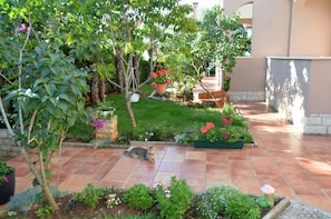 Taman