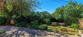 Apartments Insula Insule