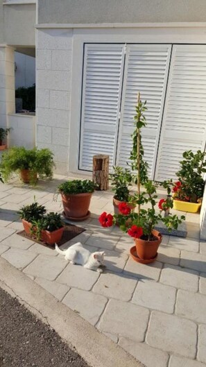 Courtyard - Apartments Mira (Dubrovnik)