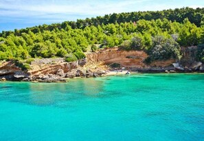 A coastal landscape with clear turquoise waters, rocky cliffs, and dense green vegetation. - Apartments Dusan (Rab)