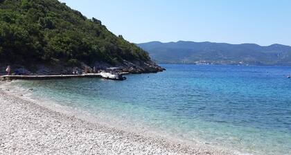 Apartments Vida With Garden