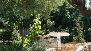 A stone staircase leading up to a covered area, surrounded by lush greenery and plants.