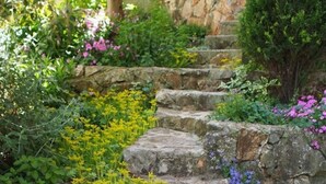 A stone staircase surrounded by lush greenery and flowering plants.