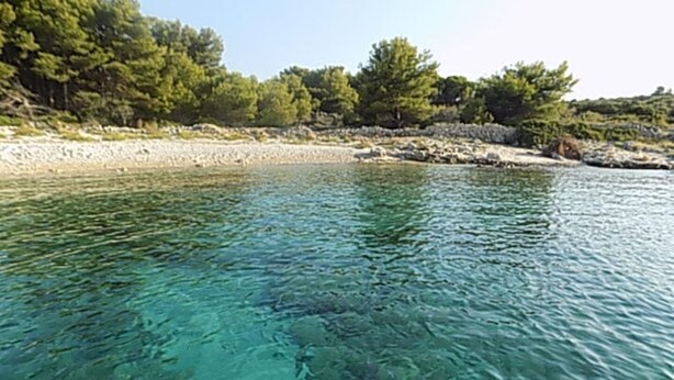 A clear view of a beach with rocky shoreline and dense trees in the background.