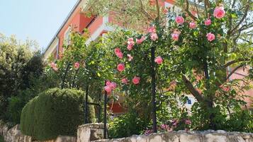 Un muro de piedra con un rosal frente a un edificio de fachada roja.