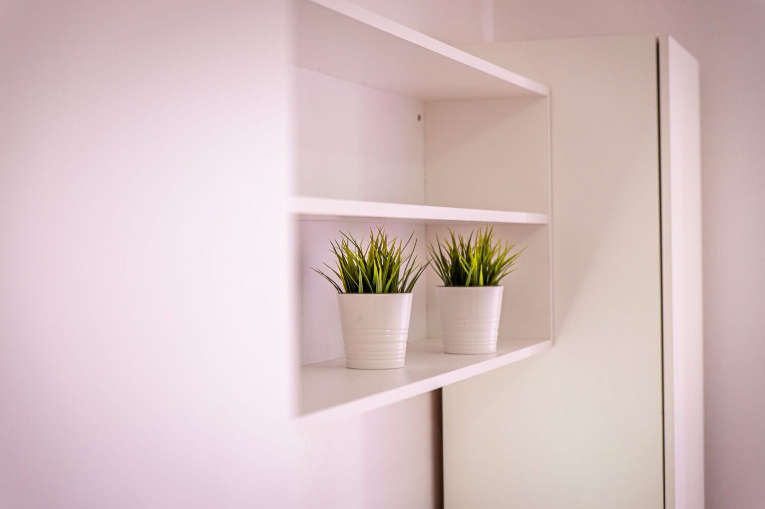 A white wall with a mirrored section and two white shelves holding potted plants.
