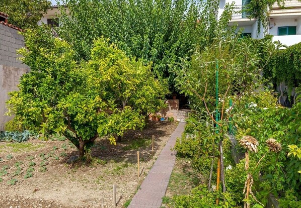 Garden - House Zeljka (Podstrana)