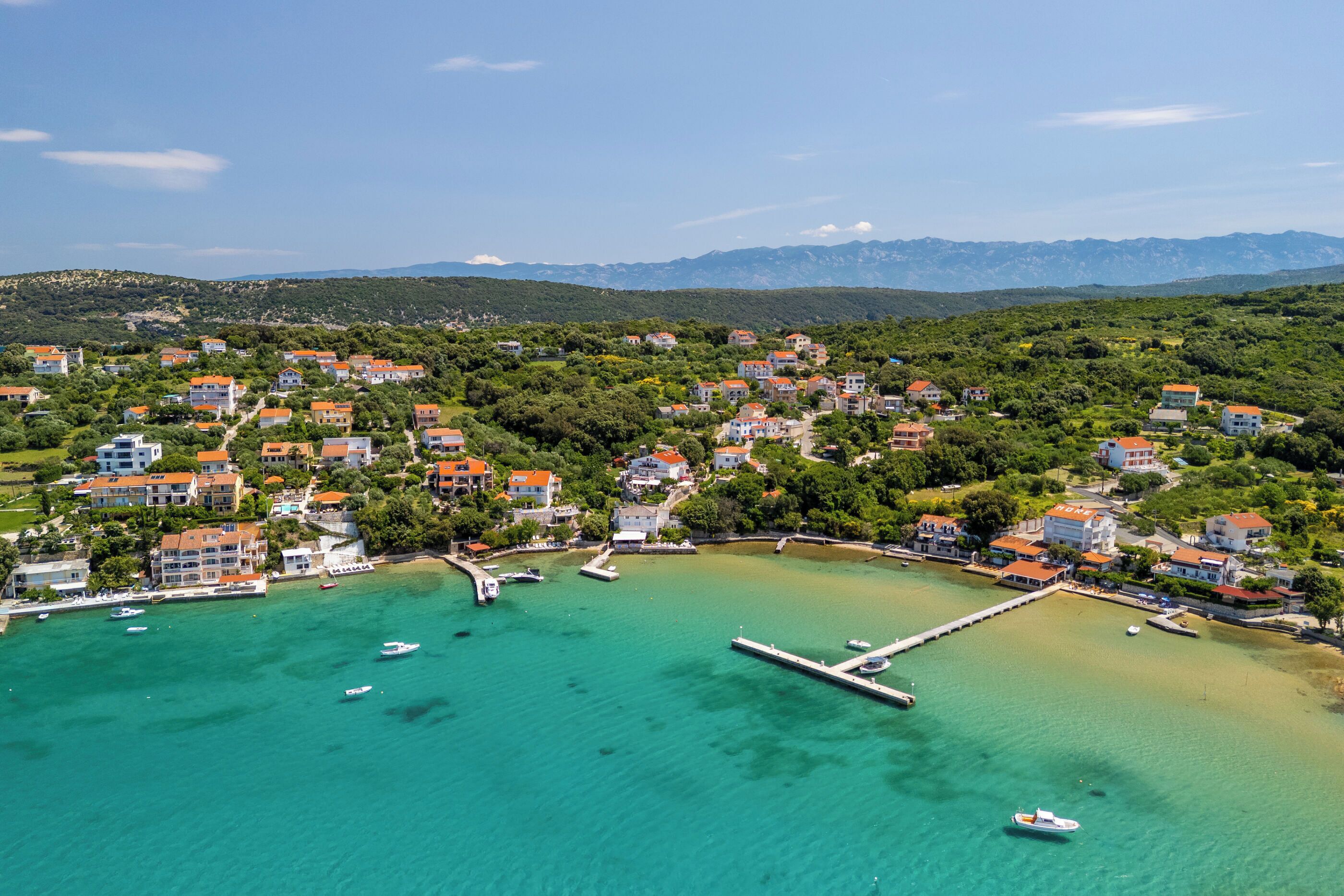 A coastal town with houses, a marina, and a pier.