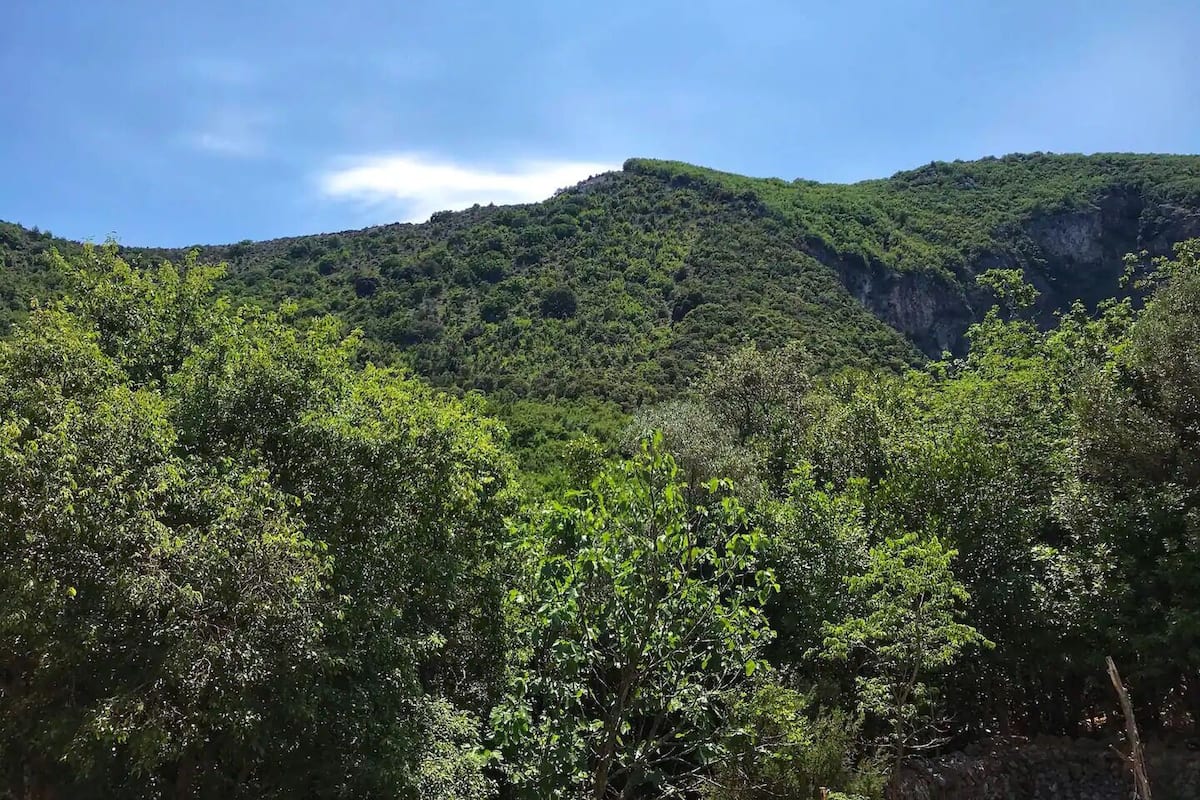 Apartment (A1) | Miscellaneous