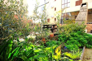 Garden - Apartments Oasis (Nin)