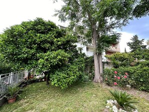 Garden - Apartment Monika (Kastela)