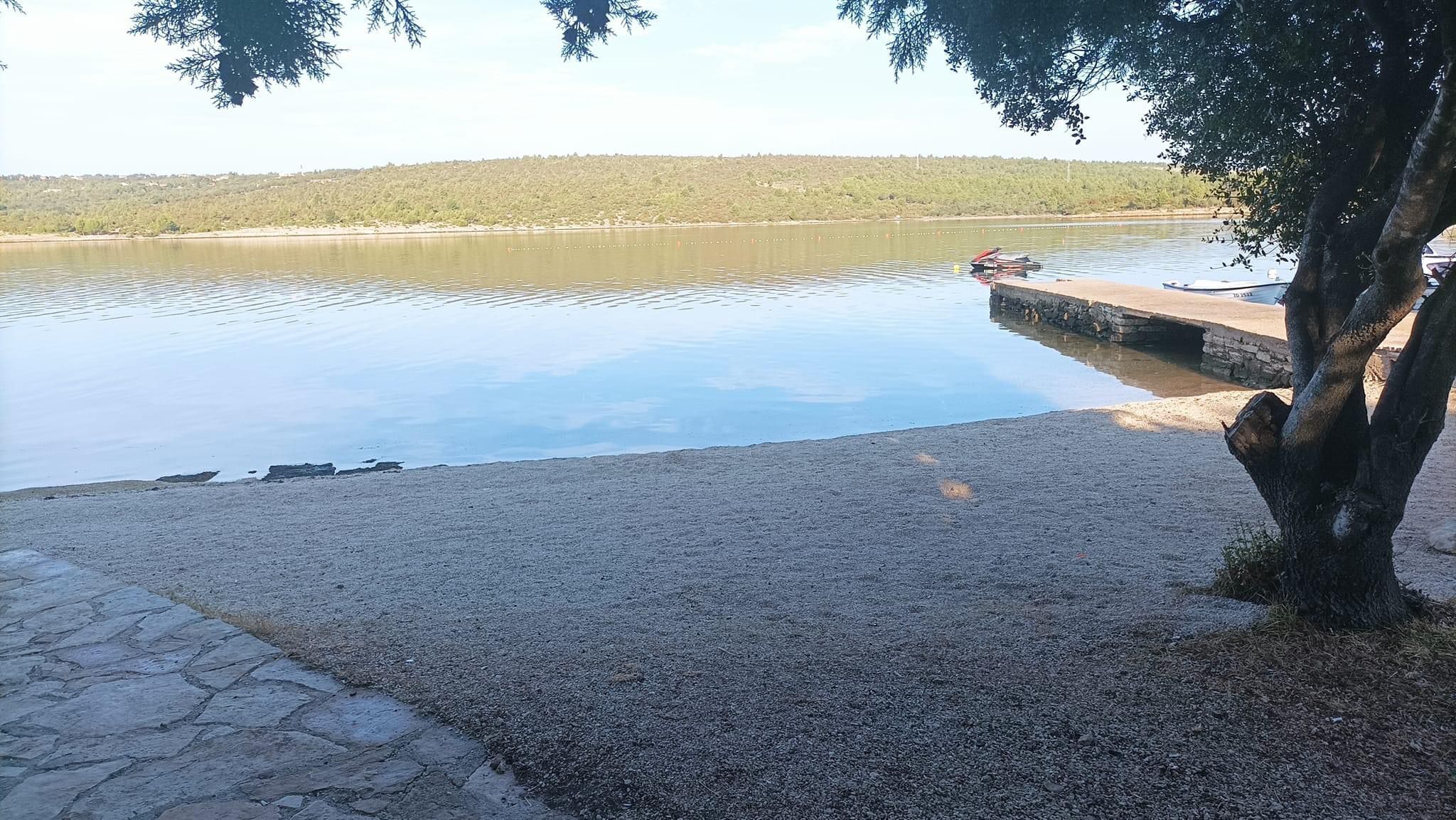 A calm lake with a dock, a stone pathway, and a tree.