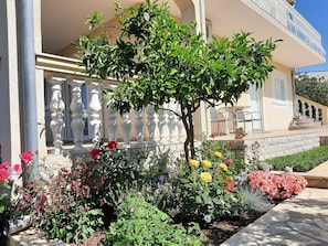 Terrace/patio - Apartments Josip (Vodice)