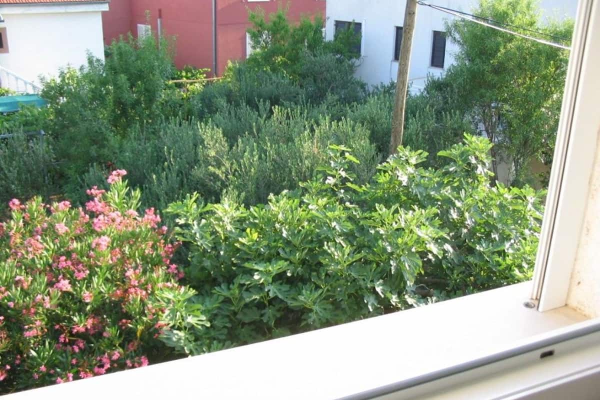 公寓 (A2) | 庭園