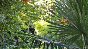 Un giardino con uno scivolo e una sedia verde.
