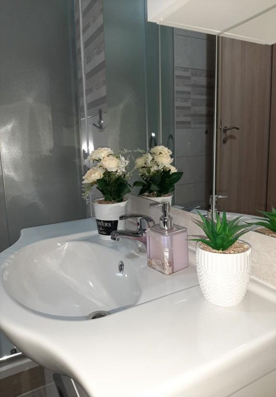 A bathroom with a white sink, a mirror, and two potted plants.