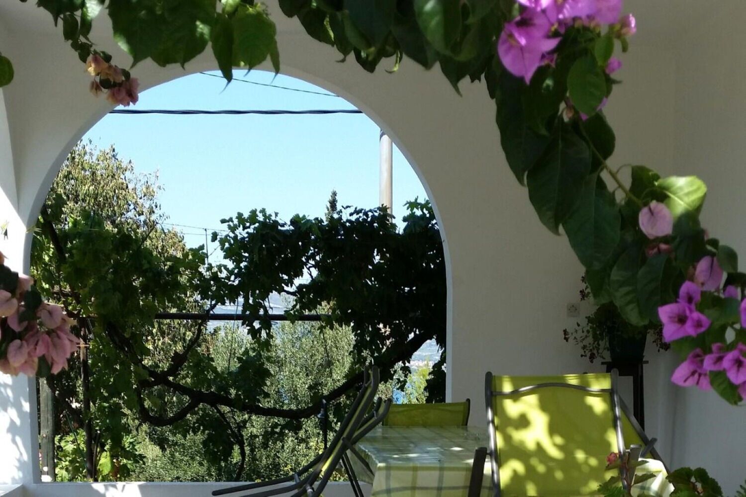 Apartment (A1) | Terrace/patio