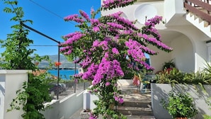 Eine Treppe führt zu einem weißen Gebäude mit einem Balkon, umgeben von Kübelpflanzen und violetten Blumen.