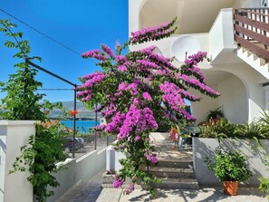 Exterior - Apartment Lilac (Trogir)