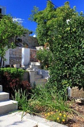 Courtyard - Apartments Amalija (Lumbarda)