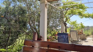 Una pérgola de madera con un banco debajo, rodeada de follaje y un muro de piedra.