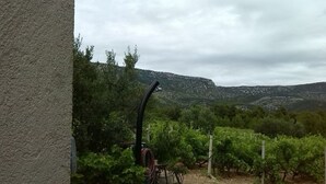 Viñedo con hileras de vid, una escultura de metal y un muro de piedra.