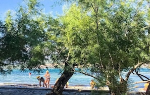 Beach nearby - Apartments Niko (Benkovac)